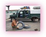 OST-I- (6)1.jpg